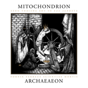 Archaeaeon