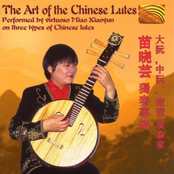 The Art of the Chinese Lutes