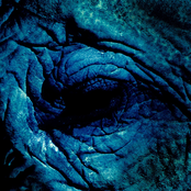 I Know You Came Here to Erase Me - Single