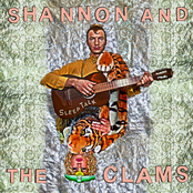 The Cult Song by Shannon And The Clams