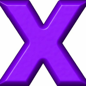 SHARDS FALLS DOWN (PURPURRPURPLE BOOTIE)