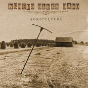 Moonshine by Wentus Blues Band