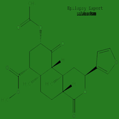 salvinorism(autumn demo)