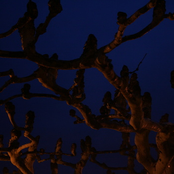 If I could dance like Ian Curtis Ep