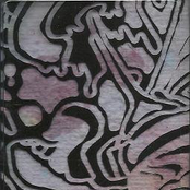 Cat on a Paisley Shawl