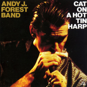 Cat On A Hot Tin Harp