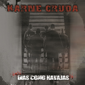 karne cruda