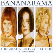 Greatest Hits Collection