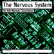 The Nervous System