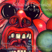 Schizoid Dimension - A Tribute to King Crimson