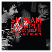 skream & example