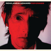 Pop Crimes by Rowland S. Howard