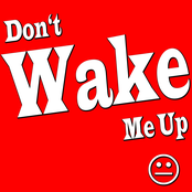 Don't Wake Me Up (Single Version)