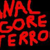 anal gore terror