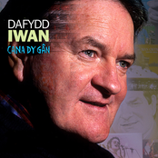 Y Deryn Pur by Dafydd Iwan