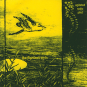 Like Flightless Birds