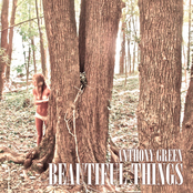 Anthony Green: Beautiful Things