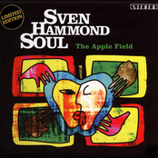 Last Time by Sven Hammond Soul