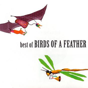 See You Soon by Birds Of A Feather