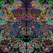 Ninni Morgia Control Unit