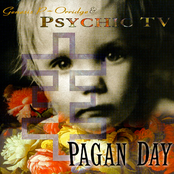 New Sexuality by Psychic Tv