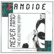 Never Mind The Electronic Story