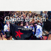 Sonido Estacional En Vivo En Audiomusica