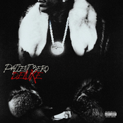 Public Domain 7: the Purge (Patient Zero Deluxe)