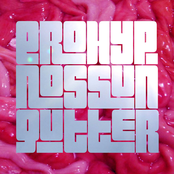 LEGS-NET 143: Sungutter