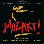 musical - mozart - wien