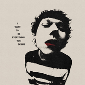 I Want To Be Everything You Desire