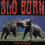 Amusing the Amazing - EP