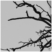 What It Means to Forgive