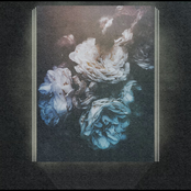 Death Is Not the End