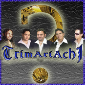 Mexican Music Latina Mariachi