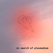 In Search of Plasmodium