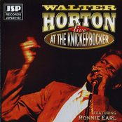 Lord Knows I Tried by Big Walter Horton