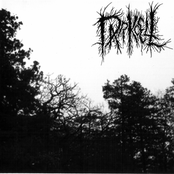1st Demo