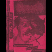 Destruction Of Human Body By Head Crushing And Dismemberment