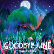 Goodbye June: Magic Valley