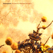 Automatic Writings, Vol. 1