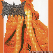 Filthy Reeking Decomp