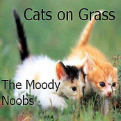 Cats on Grass - Single