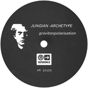 Gravitonpolarisation