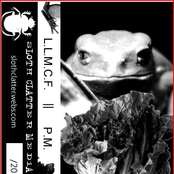 The Liquid Lettuce Mining Corp. Foundation & Phyllomedusa