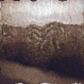 Jordan Leung: I Got Bit!