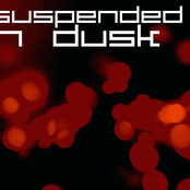 Beware Of Ghost Bears