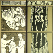 Iron Lung & Lana Dagales - Split 12"