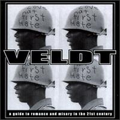 High by The Veldt