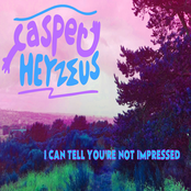 I Can Tell You're Not Impressed